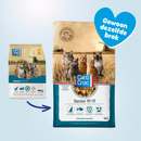 CaroCroc Kat Senior 25/12