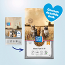 CaroCroc With Fish 31/18