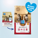 CaroCroc With Lamb 31/18