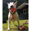 Honden speelgoed Chuckit Ultra Ball