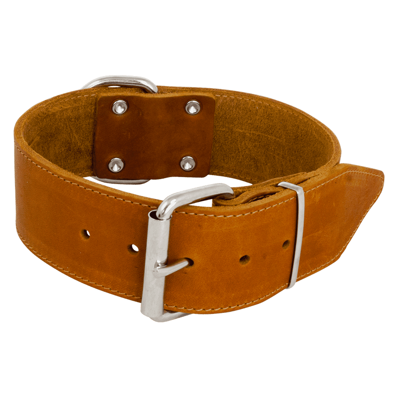 Jack and Vanilla vetleder halsband breed 30mm