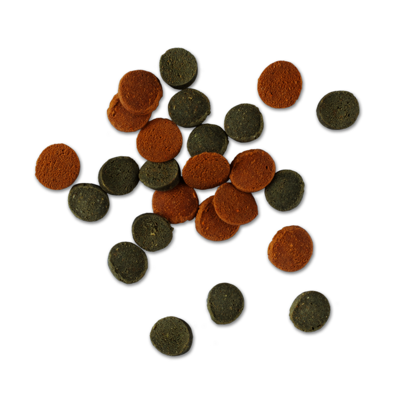 Aquarium Vissenvoer Tetra Wafer Mix