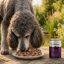 Honden voeding Canagan Senior Feast