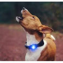 Hondenverlichting Orbiloc Dog Light ( Orbiloc blauw-rood-wit )