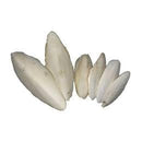 Vogel voeders Snacks Vogel  Boon sepia met klem  kanarie-parkieten-agapornide-valkparkieten