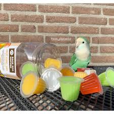 Vogelvoeders Snacks fruitkuipjes , mix