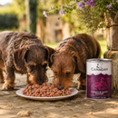 Honden voeding Canagan Turkey & Duck