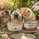 Canagan voeding Kitten en volwassen  katten blik Kip & garnalen 75 Gram