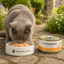 Canagan voeding  Kitten en volwassen katten blik Kip & Zalm 75 Gram