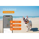 Honden/katten halsbanden GPS tracker voor Honden - Weenect XS Zwart