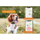 Honden/katten halsbanden GPS tracker voor Honden - Weenect XS Zwart