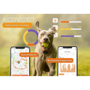 Honden/katten halsbanden GPS tracker voor Honden - Weenect XS Zwart