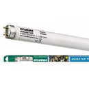 Verlichting Sylvania Aquastar T8 - 15watt - 438 mm +GRATIS JUWEL REFLECTOR