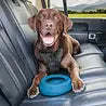 Honden waterbak  Kurgo Splash-Free Wander Bowl! auto  rood