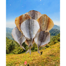 Naturavetal Canis Plus Goudband makreel