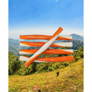 Naturavetal Canis Plus Power-Sticks (5 stuks)