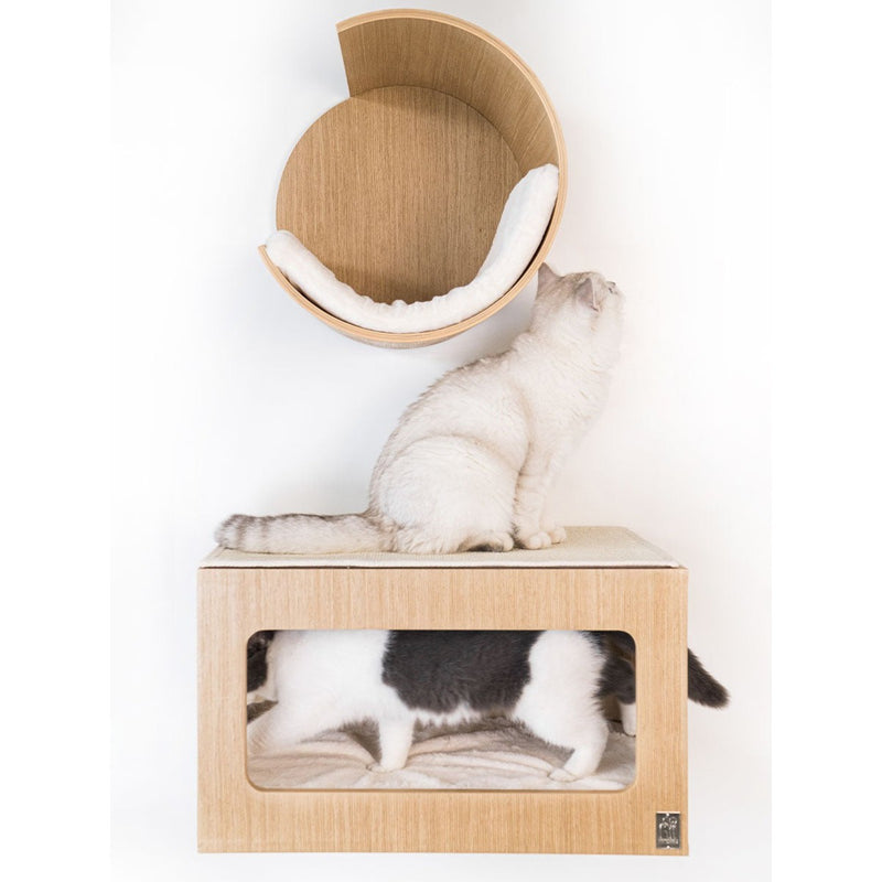 PetRebels Kattenmuur Box 60