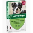 Vlooien middel  Advantage Honden