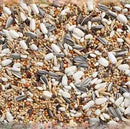 Vogelvoeding Tijssen Valkparkieten