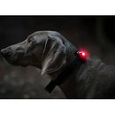 Hondenverlichting Orbiloc Dog Light ( Orbiloc blauw-rood-wit )