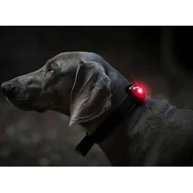 Hondenverlichting Orbiloc Dog Light ( Orbiloc blauw-rood-wit )