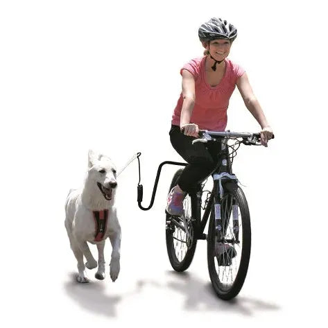 Springer Fiets-Set, U-vorm