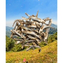 Naturavetal Canis Plus Sardientjes (Sprot)