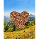 Naturavetal Canis Plus Sterrenhemel vis bonbons