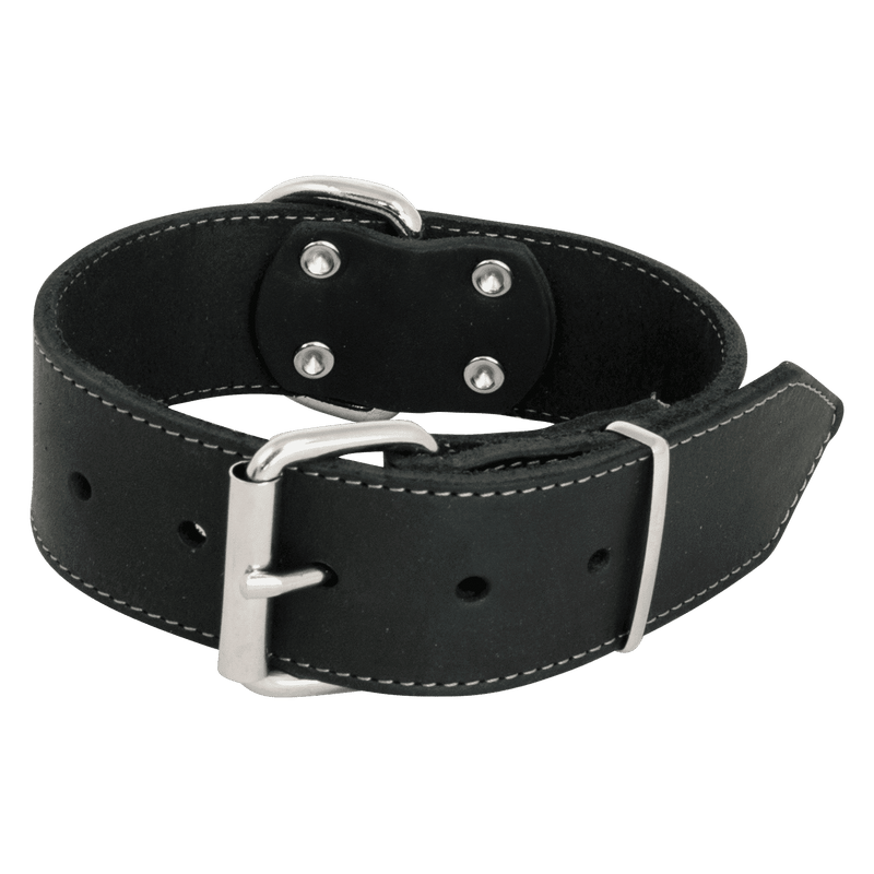 Jack and Vanilla vetleder halsband breed 30mm