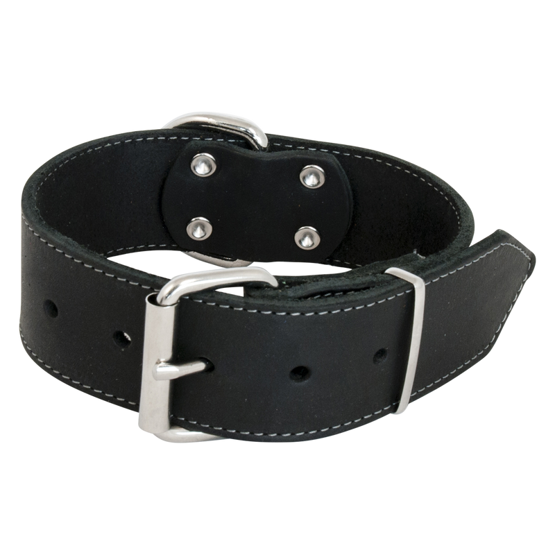 Jack and Vanilla vetleder halsband breed 30mm