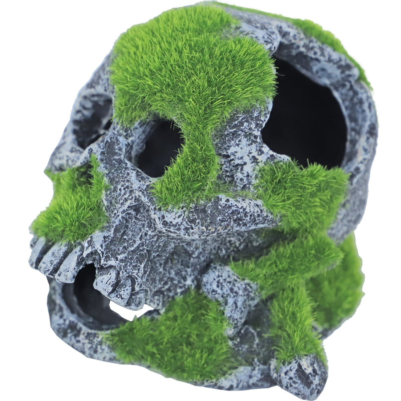 Boon aqua deco ornament schedel met mos, 12x13 cm.
