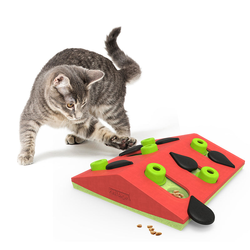 Katten speelgoed Nina Ottosson kattenspel puzzle & play melon madness.