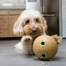Kong hond Bamboo feeder ball