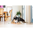 Lickimat Buddy Large 28 Cm - Dierplezier.nl