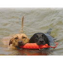 Kong hond Trainings water Dummy