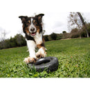 Kong hond Traxx zwart