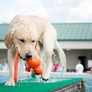Waterspeelgoed Wubba Kong - Dierplezier.nl