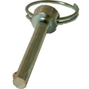 Doggy Ride borgpinnen met ring (detentpin)