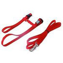 Boon kitten tuig nylon met lijn, rood. - Dierplezier.nl