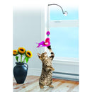 Kong kat Connects, teaser window