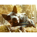 Honden Tuigen  Hurtta padded harnassen juniper,