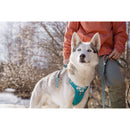 Honden Tuigen Hurtta Weekend Warrior harnassen peacock