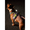 Honden Tuigen Hurtta Weekend Warrior harnassen Neon Licorice