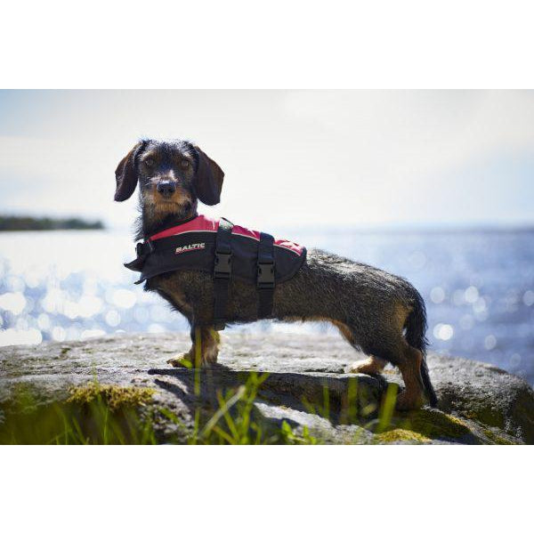 Baltic hondenzwemvest Mascot oranje/zwart