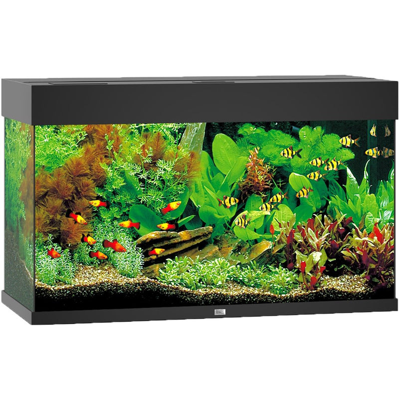 Aquarium Juwel aquarium Rio 125  zwart