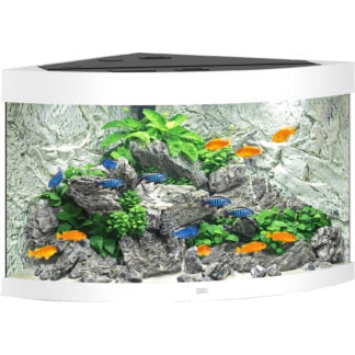 Aquarium Juwel aquarium Trigon 190 Wit