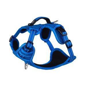 Rogz Dogz Nitelife Explore Tuigen Blauw - Dierplezier.nl