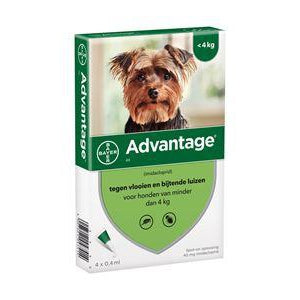 Advantage Hond 40 ( Tot 4 Kg ) - Dierplezier.nl