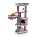 PetRebels Kings & Queens Charlotte 134