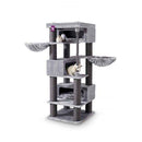 PetRebels Turnpike 200